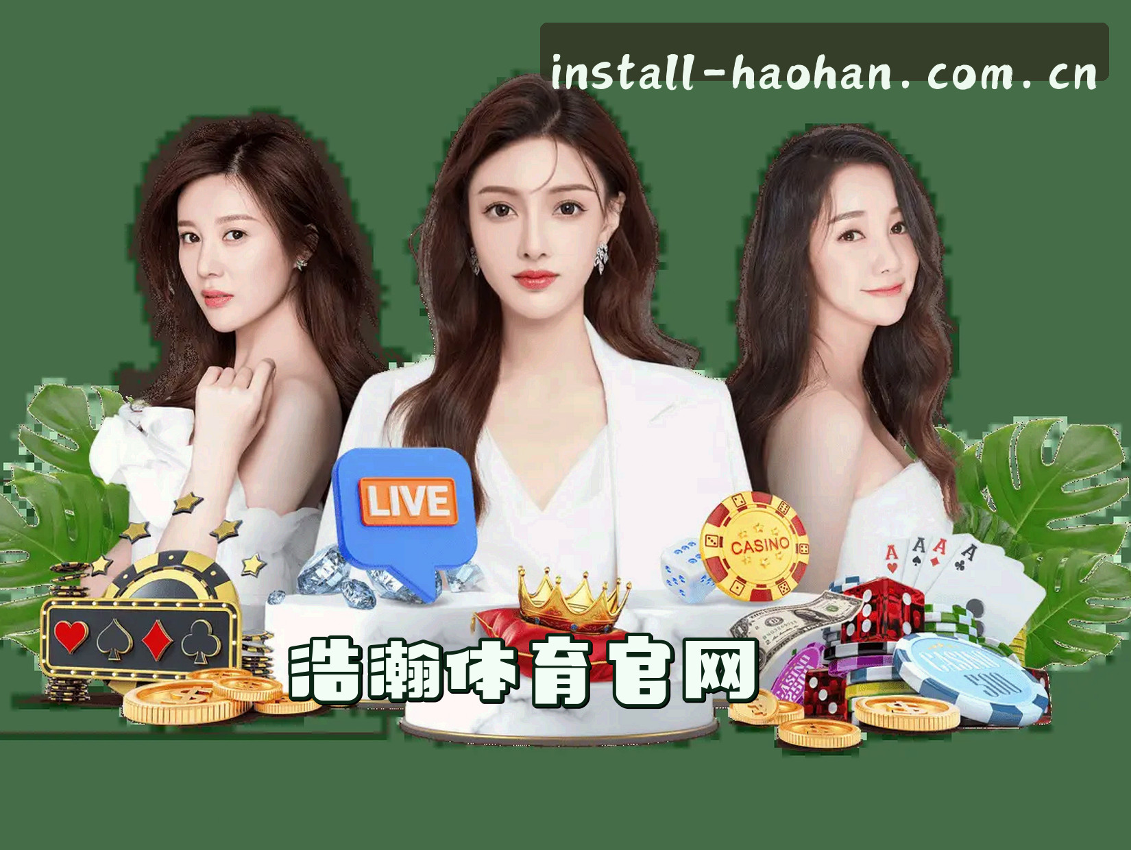 关于我们介绍